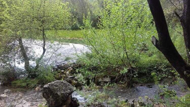 La bueges 1